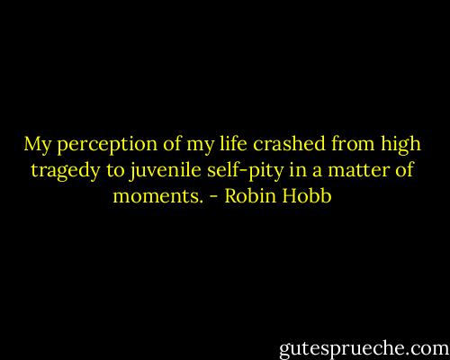 My perception of my life crashed from high tragedy to juvenile self-pity in a matter of moments. - Robin Hobb