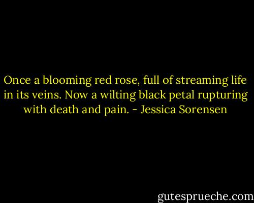Once a blooming red rose, full of streaming life in its veins.<br />Now a wilting black petal rupturing with death and pain. - Jessica Sorensen