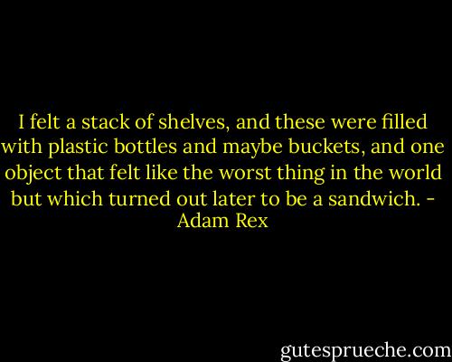 I felt a stack of shelves, and these were filled with plastic bottles and maybe buckets, and one object that felt like the worst thing in the world but which turned out later to be a sandwich. - Adam Rex