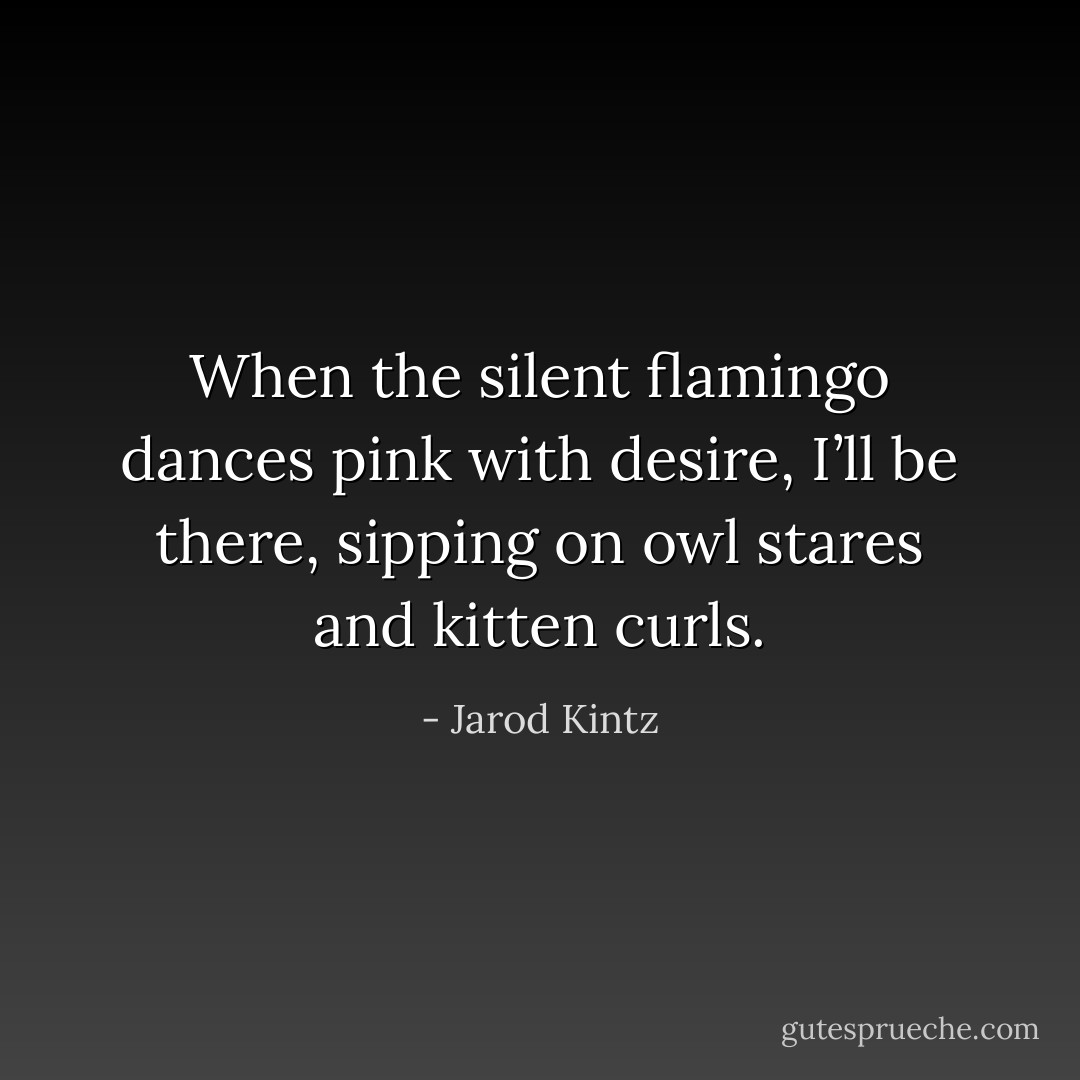When the silent flamingo dances pink with desire, I’ll be there, sipping on owl stares and kitten curls. - Jarod Kintz