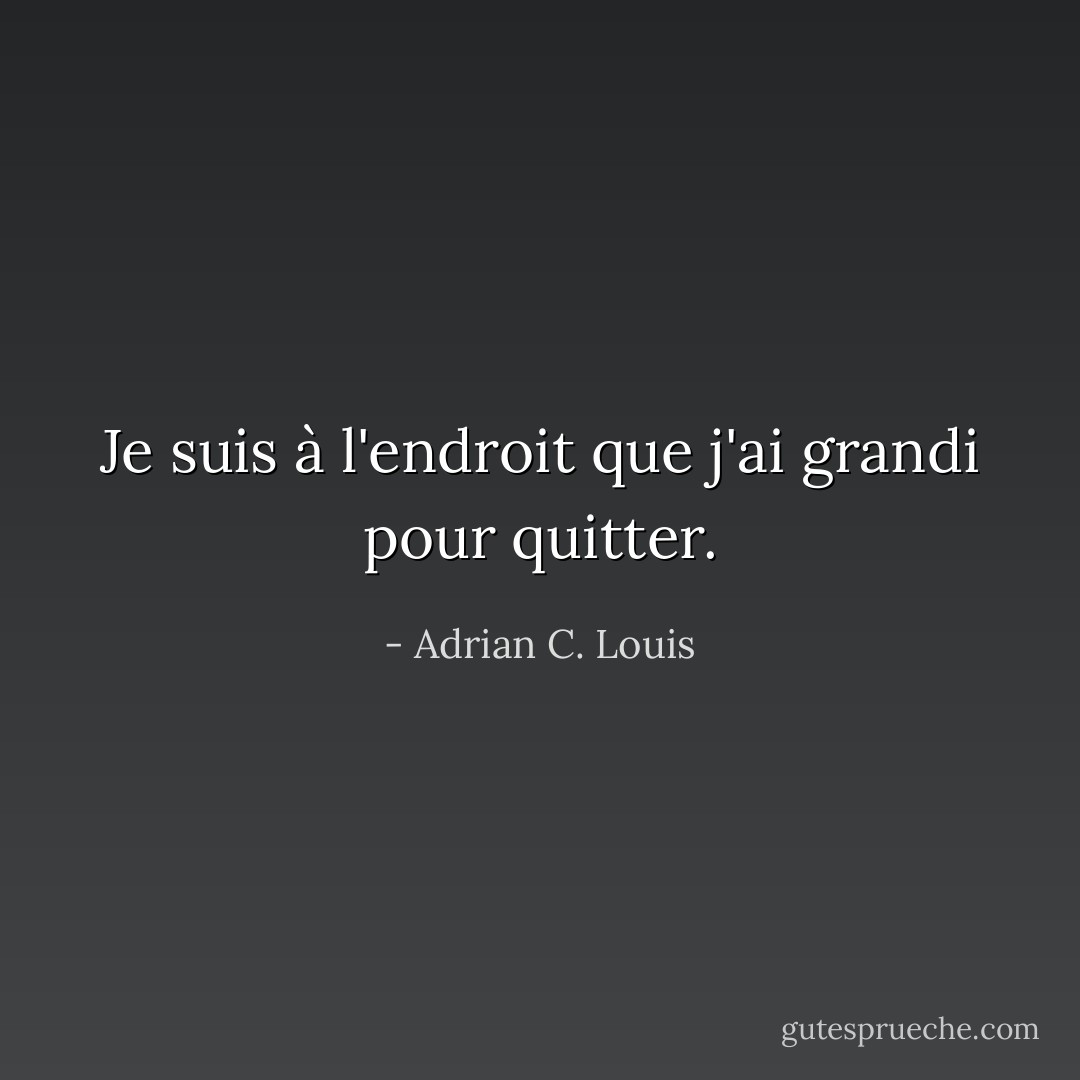 Je suis à l'endroit que j'ai grandi pour quitter. - Adrian C. Louis
