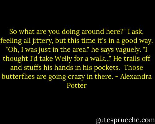 So what are you doing around here?" I ask, feeling all jittery, but this time it's in a good way.<br />"Oh, I was just in the area." he says vaguely. "I thought I'd take Welly for a walk..." He trails off and stuffs his hands in his pockets. <br />Those butterflies are going crazy in there. - Alexandra Potter