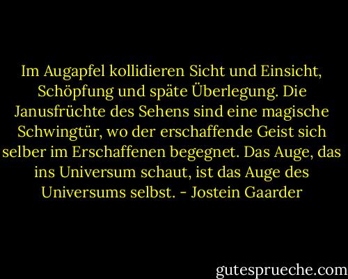 Im Augapfel kollidieren Sicht und Einsicht, Schöpfung und späte Überlegung. Die Janusfrüchte des Sehens sind eine magische Schwingtür, wo der erschaffende Geist sich selber im Erschaffenen begegnet. Das Auge, das ins Universum schaut, ist das Auge des Universums selbst. - Jostein Gaarder