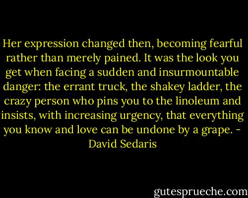 Her expression changed then, becoming fearful rather than merely pained. It was the look you get when facing a sudden and insurmountable danger: the errant truck, the shakey ladder, the crazy person who pins you to the linoleum and insists, with increasing urgency, that everything you know and love can be undone by a grape. - David Sedaris