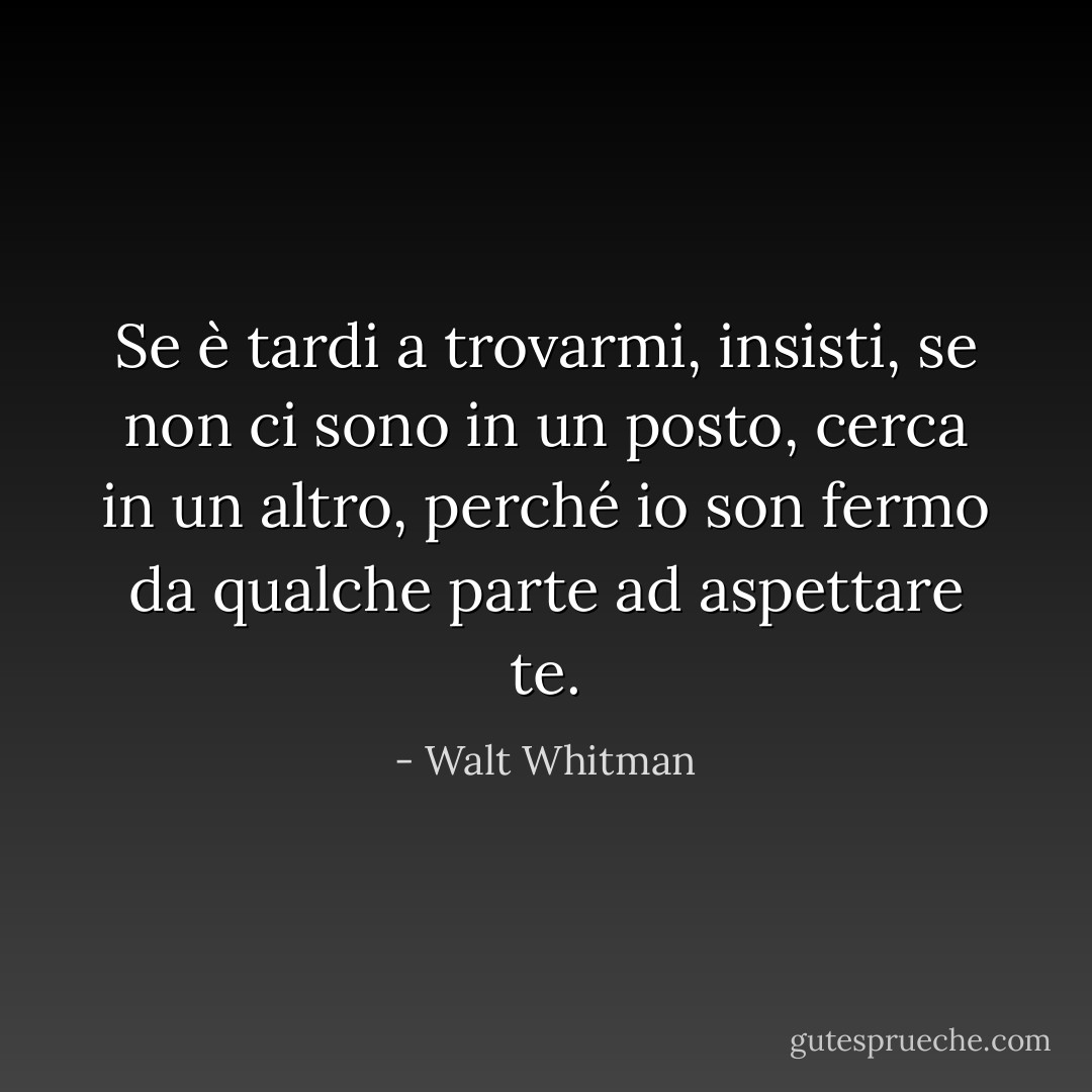 Se è tardi a trovarmi, insisti, se non ci sono in un posto, cerca in un altro, perché io son fermo da qualche parte ad aspettare te. - Walt Whitman