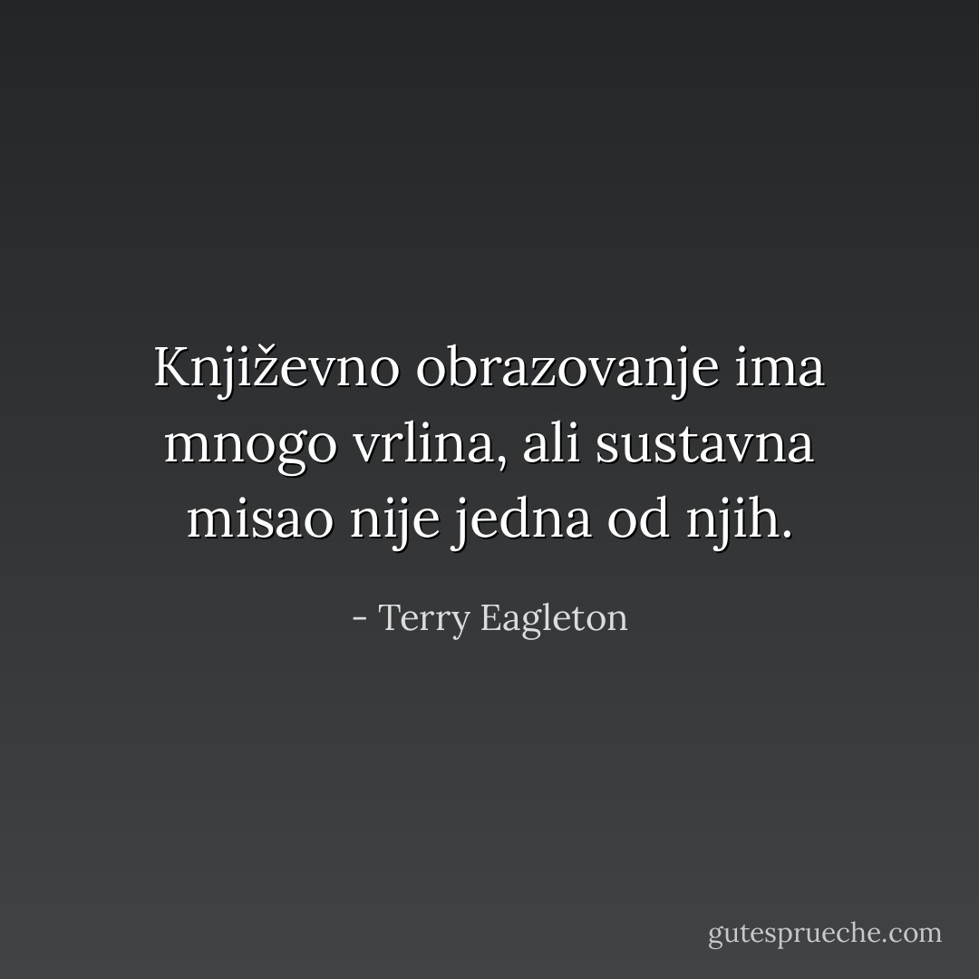 Književno obrazovanje ima mnogo vrlina, ali sustavna misao nije jedna od njih. - Terry Eagleton