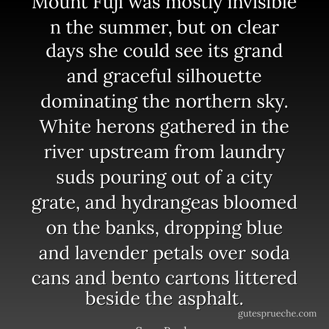 Mount Fuji was mostly invisible n the summer, but on clear days she could see its grand and graceful silhouette dominating the northern sky. White herons gathered in the river upstream from laundry suds pouring out of a city grate, and hydrangeas bloomed on the banks, dropping blue and lavender petals over soda cans and bento cartons littered beside the asphalt. - Sara Backer