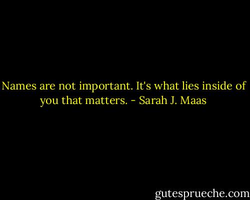 Names are not important. It's what lies inside of you that matters. - Sarah J. Maas