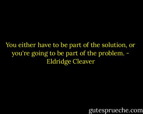 You either have to be part of the solution, or you're going to be part of the problem. - Eldridge Cleaver