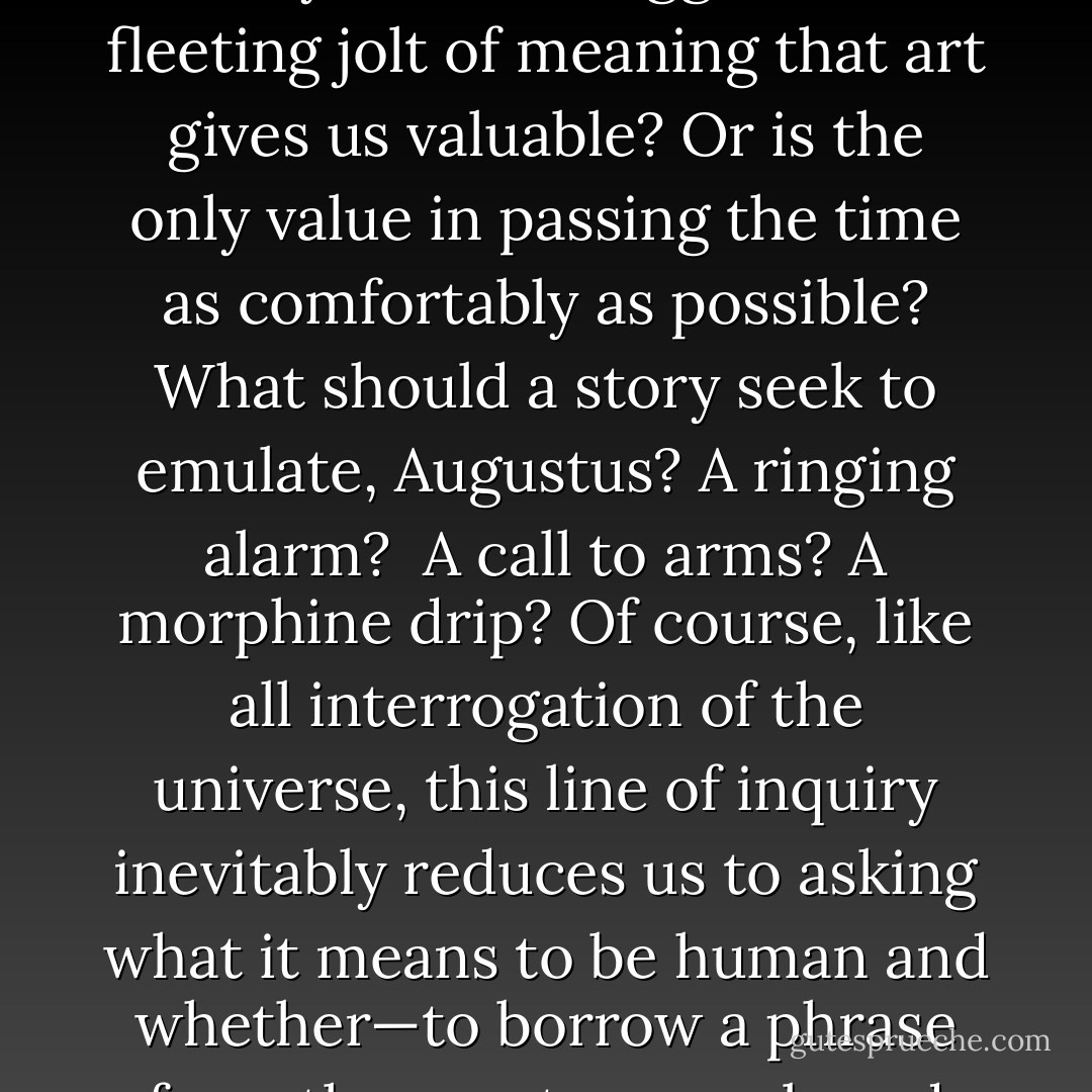 This comment, however, leads me to wonder: What do you mean by meant? Given the final futility of our struggle, is the fleeting jolt of meaning that art gives us valuable? Or is the only value in passing the time as comfortably as possible? What should a story seek to emulate, Augustus? A ringing alarm?<br /><br />A call to arms? A morphine drip? Of course, like all interrogation of the universe, this line of inquiry inevitably reduces us to asking what it means to be human and whether—to borrow a phrase from the angst-encumbered sixteen-year-olds you no doubt revile— there is a point to it all. - John Green