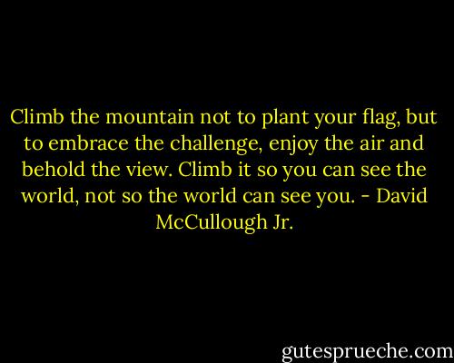 Climb the mountain not to plant your flag, but to embrace the challenge, enjoy the air and behold the view. Climb it so you can see the world, not so the world can see you. - David McCullough Jr.