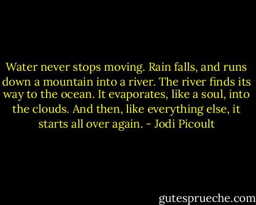 Water never stops moving. Rain falls, and runs down a mountain into a river. The river finds its way to the ocean. It evaporates, like a soul, into the clouds. And then, like everything else, it starts all over again. - Jodi Picoult