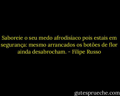 Saboreie o seu medo afrodisíaco pois estais em segurança: mesmo arrancados os botões de flor ainda desabrocham. - Filipe Russo