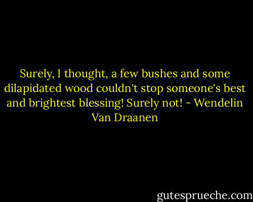 Surely, I thought, a few bushes and some dilapidated wood couldn't stop someone's best and brightest blessing! Surely not! - Wendelin Van Draanen