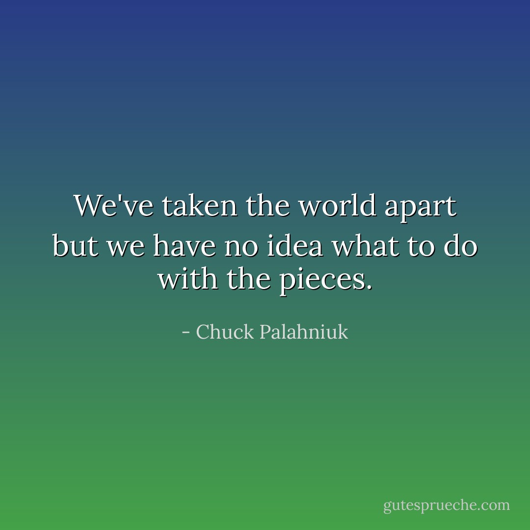 We've taken the world apart but we have no idea what to do with the pieces. - Chuck Palahniuk