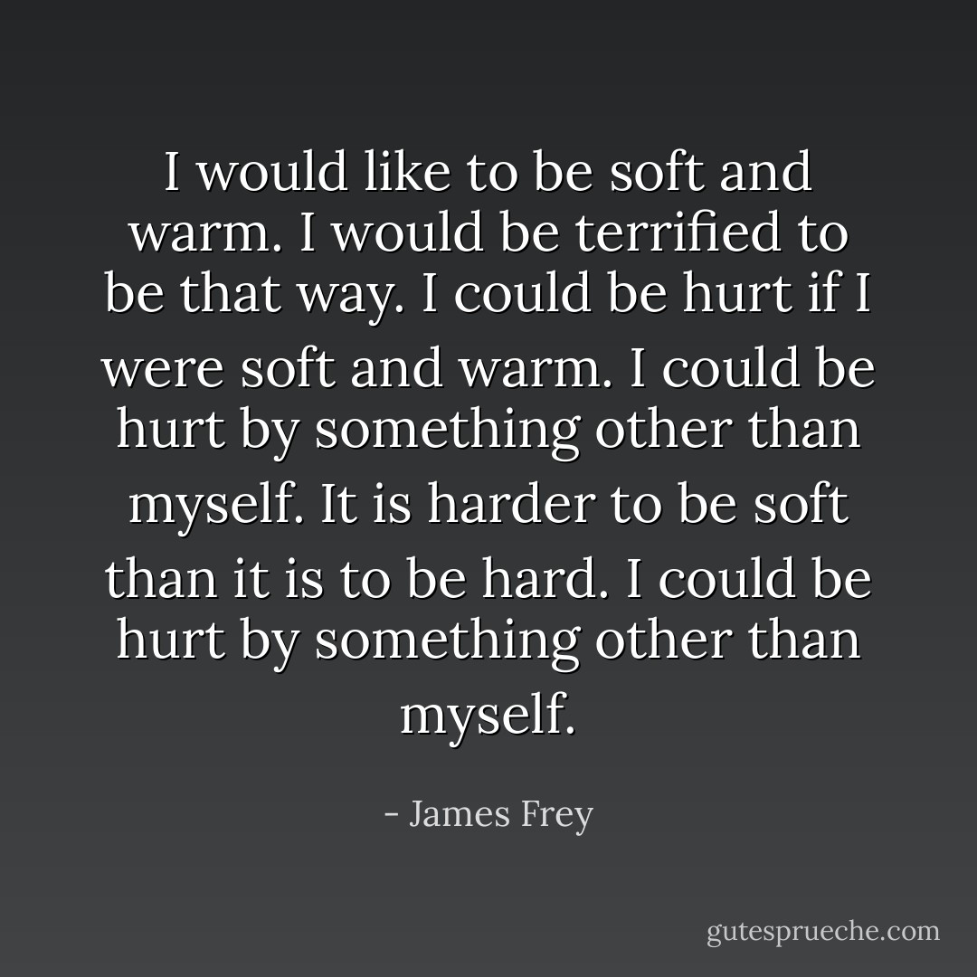 I would like to be soft and warm. I would be terrified to be that way. I could be hurt if I were soft and warm. I could be hurt by something other than myself. It is harder to be soft than it is to be hard. I could be hurt by something other than myself. - James Frey