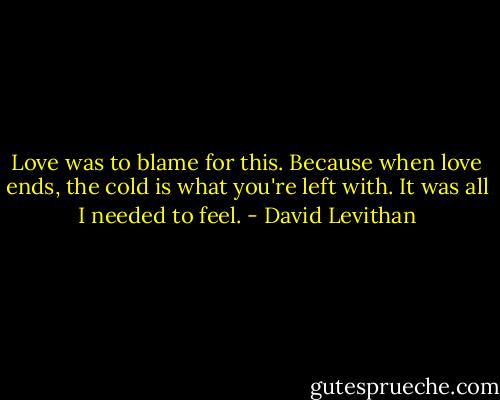 Love was to blame for this. Because when love ends, the cold is what you're left with.<br />It was all I needed to feel. - David Levithan