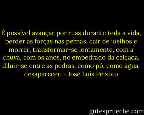 É possível avançar por ruas durante toda a vida, perder as forças nas pernas, cair de joelhos e morrer, transformar-se lentamente, com a chuva, com os anos, no empedrado da calçada, diluir-se entre as pedras, como pó, como água, desaparecer. - José Luís Peixoto