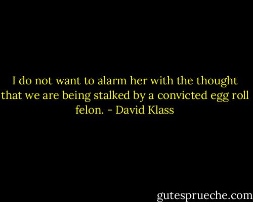I do not want to alarm her with the thought that we are being stalked by a convicted egg roll felon. - David Klass