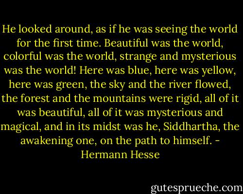 He looked around, as if he was seeing the world for the first time. Beautiful was the world, colorful was the world, strange and mysterious was the world! Here was blue, here was yellow, here was green, the sky and the river flowed, the forest and the mountains were rigid, all of it was beautiful, all of it was mysterious and magical, and in its midst was he, Siddhartha, the awakening one, on the path to himself. - Hermann Hesse