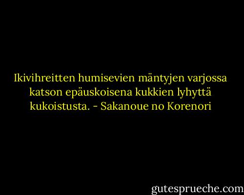 Ikivihreitten<br />humisevien mäntyjen<br />varjossa katson<br />epäuskoisena kukkien<br />lyhyttä kukoistusta. - Sakanoue no Korenori