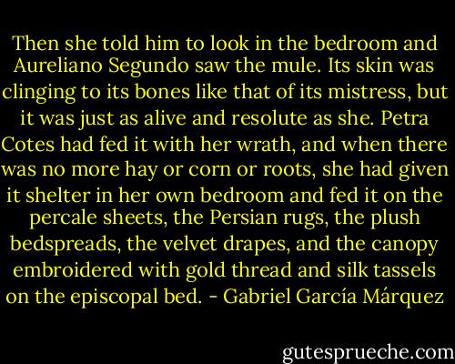 Then she told him to look in the bedroom and Aureliano Segundo saw the mule. Its skin was clinging to its bones like that of its mistress, but it was just as alive and resolute as she. Petra Cotes had fed it with her wrath, and when there was no more hay or corn or roots, she had given it shelter in her own bedroom and fed it on the percale sheets, the Persian rugs, the plush bedspreads, the velvet drapes, and the canopy embroidered with gold thread and silk tassels on the episcopal bed. - Gabriel García Márquez