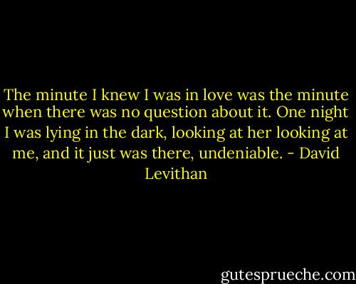 The minute I knew I was in love was the minute when there was no question about it. One night I was lying in the dark, looking at her looking at me, and it just was there, undeniable. - David Levithan