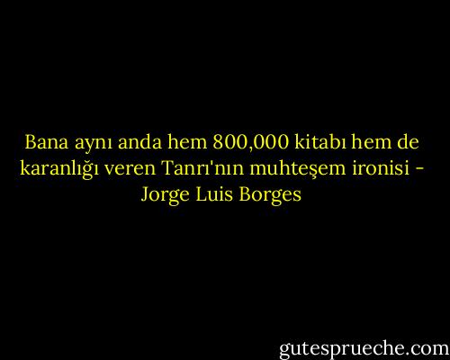 Bana aynı anda hem 800,000 kitabı hem de karanlığı veren Tanrı'nın muhteşem ironisi - Jorge Luis Borges