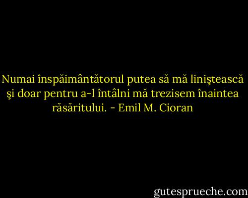 Numai înspăimântătorul putea să mă liniştească şi doar pentru a-l întâlni mă trezisem înaintea răsăritului. - Emil M. Cioran