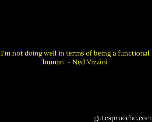 I'm not doing well in terms of being a functional human. - Ned Vizzini