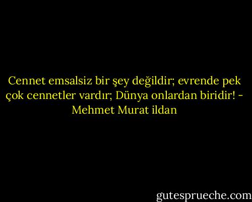 Cennet emsalsiz bir şey değildir; evrende pek çok cennetler vardır; Dünya onlardan biridir! - Mehmet Murat ildan