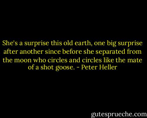 She's a surprise this old earth, one big surprise after another since before she separated from the moon who circles and circles like the mate of a shot goose. - Peter Heller