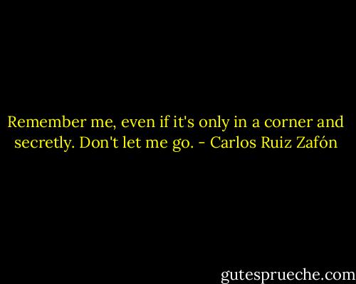 Remember me, even if it's only in a corner and secretly. Don't let me go. - Carlos Ruiz Zafón