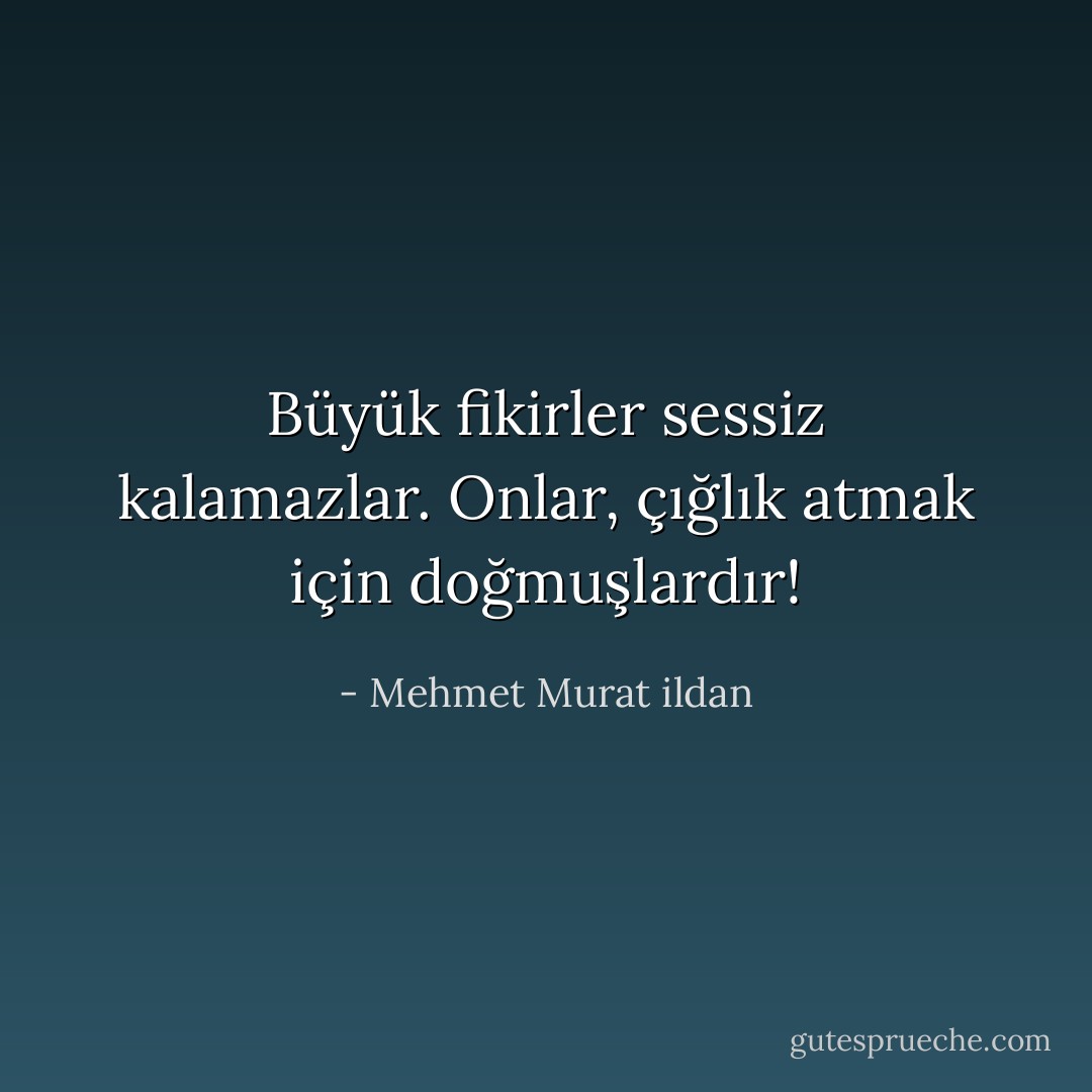 Büyük fikirler sessiz kalamazlar. Onlar, çığlık atmak için doğmuşlardır! - Mehmet Murat ildan