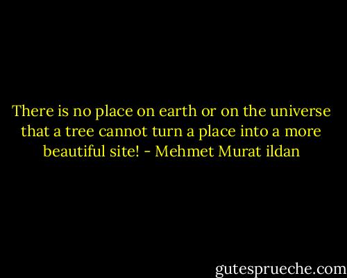There is no place on earth or on the universe that a tree cannot turn a place into a more beautiful site! - Mehmet Murat ildan