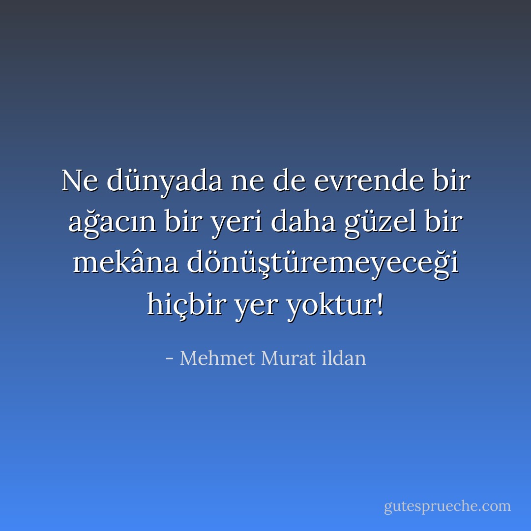 Ne dünyada ne de evrende bir ağacın bir yeri daha güzel bir mekâna dönüştüremeyeceği hiçbir yer yoktur! - Mehmet Murat ildan