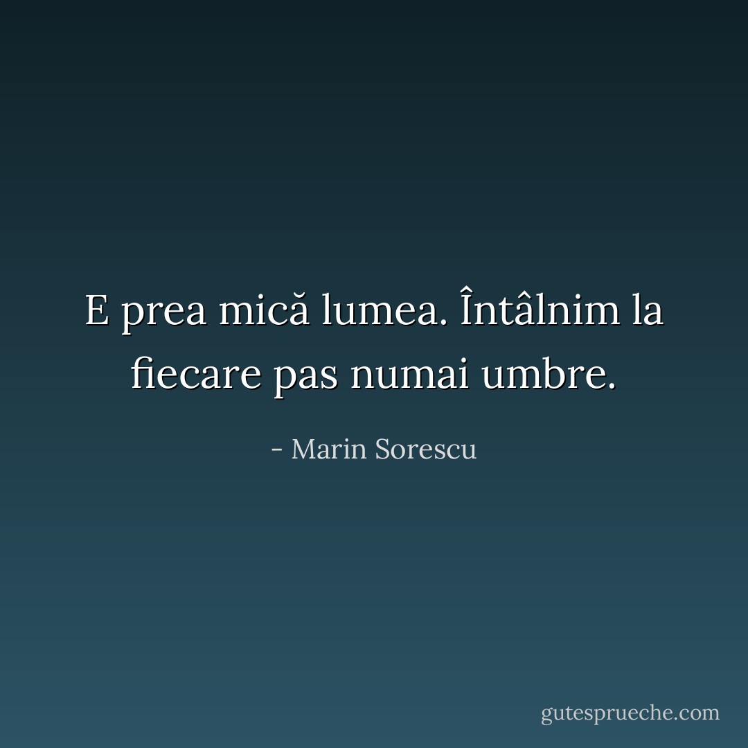 E prea mică lumea. Întâlnim la fiecare pas numai umbre. - Marin Sorescu