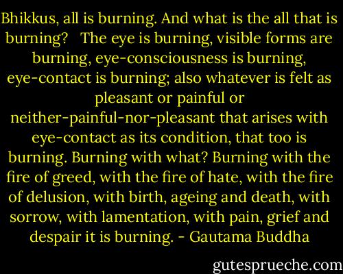 Bhikkus, all is burning. And what is the all that is burning?<br /> <br />The eye is burning, visible forms are burning, eye-consciousness is burning, eye-contact is burning; also whatever is felt as pleasant or painful or neither-painful-nor-pleasant that arises with eye-contact as its condition, that too is burning. Burning with what? Burning with the fire of greed, with the fire of hate, with the fire of delusion, with birth, ageing and death, with sorrow, with lamentation, with pain, grief and despair it is burning. - Gautama Buddha
