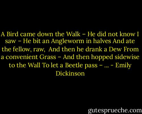 A Bird came down the Walk –<br />He did not know I saw –<br />He bit an Angleworm in halves<br />And ate the fellow, raw,<br /><br />And then he drank a Dew<br />From a convenient Grass –<br />And then hopped sidewise to the Wall<br />To let a Beetle pass –<br />... - Emily Dickinson