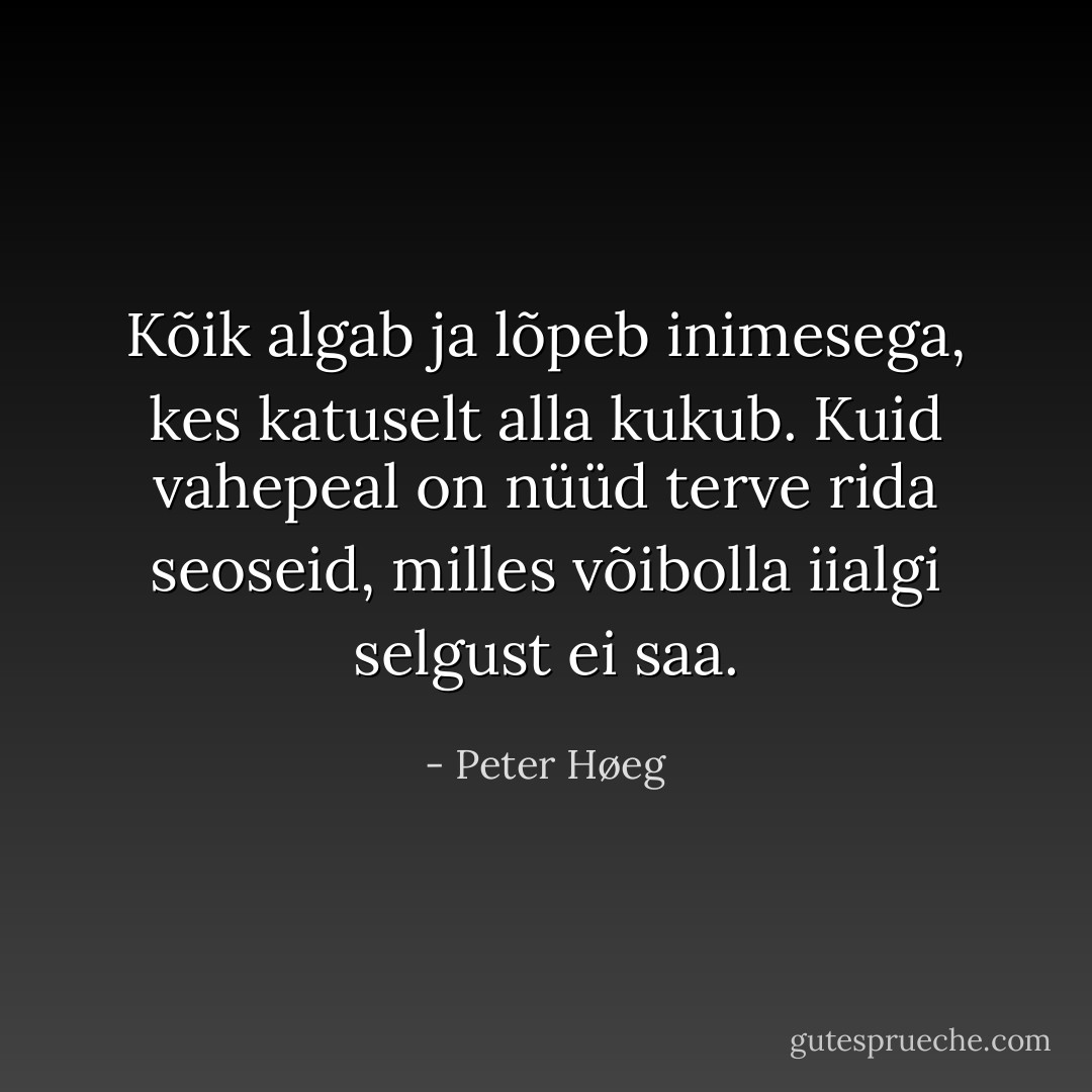 Kõik algab ja lõpeb inimesega, kes katuselt alla kukub. Kuid vahepeal on nüüd terve rida seoseid, milles võibolla iialgi selgust ei saa. - Peter Høeg