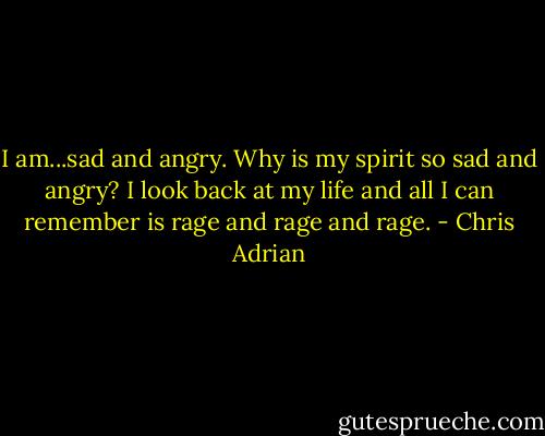 I am...sad and angry. Why is my spirit so sad and angry? I look back at my life and all I can remember is rage and rage and rage. - Chris Adrian