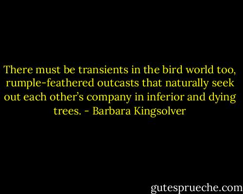 There must be transients in the bird world too, rumple-feathered outcasts that naturally seek out each other’s company in inferior and dying trees. - Barbara Kingsolver
