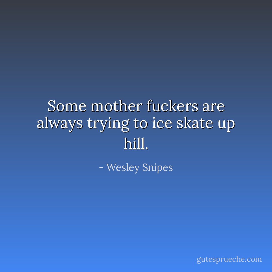 Some mother fuckers are always trying to ice skate up hill. - Wesley Snipes