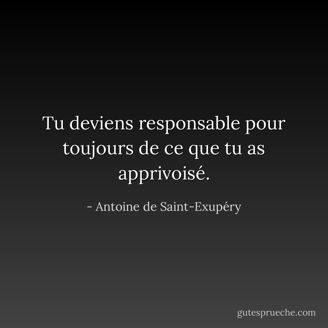 Tu deviens responsable pour toujours de ce que tu as apprivoisé. - Antoine de Saint-Exupéry