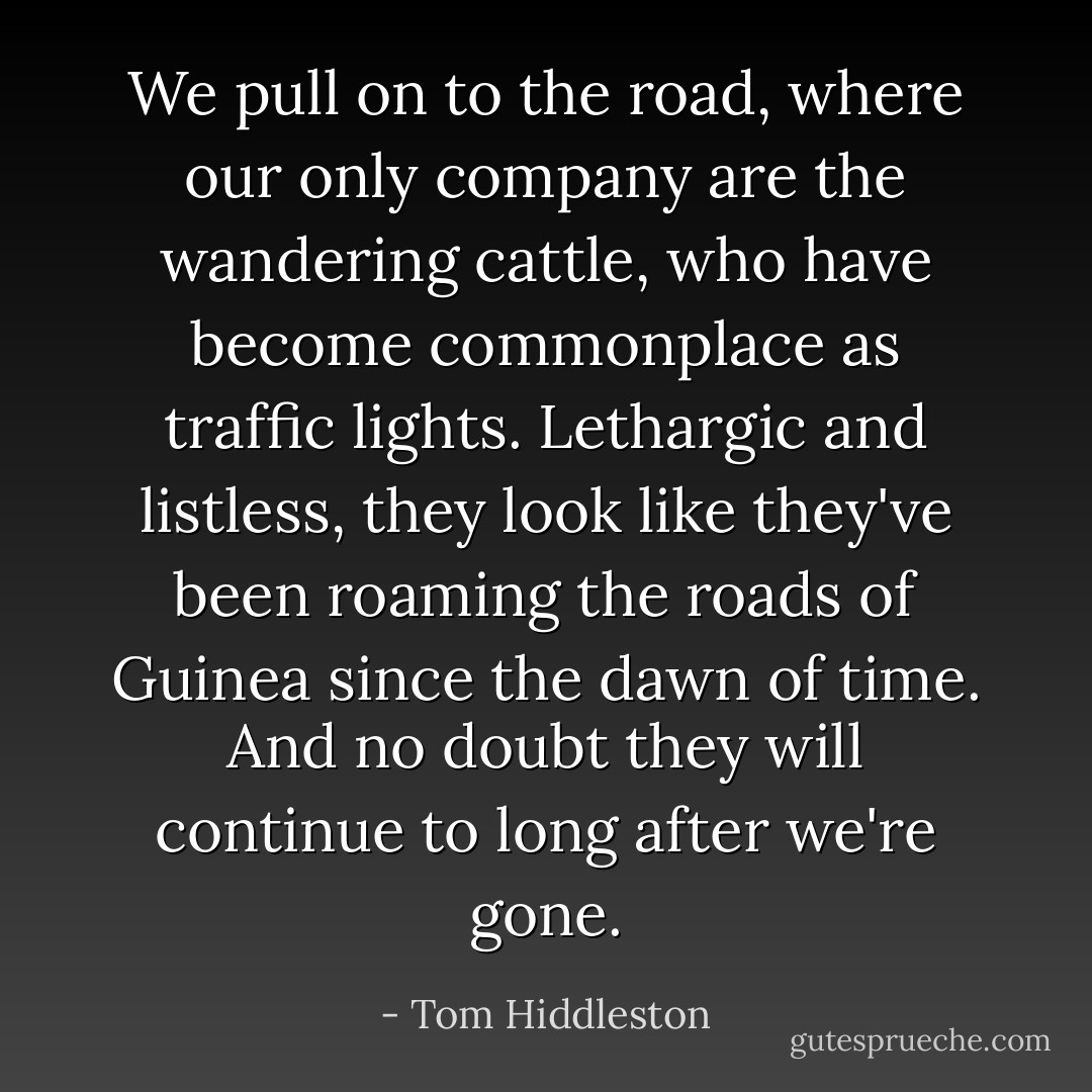 We pull on to the road, where our only company are the wandering cattle, who have become commonplace as traffic lights. Lethargic and listless, they look like they've been roaming the roads of Guinea since the dawn of time. And no doubt they will continue to long after we're gone. - Tom Hiddleston