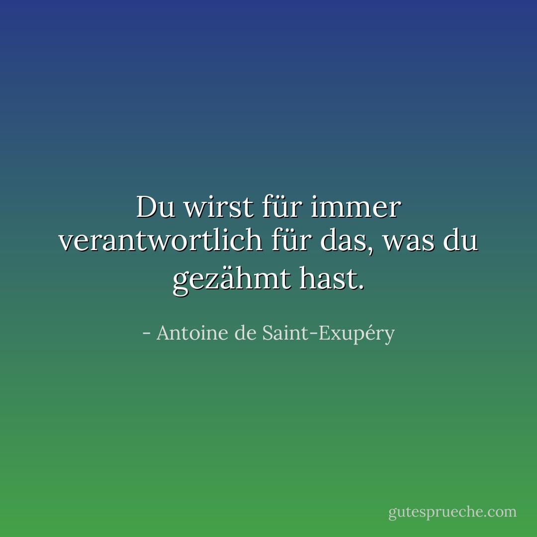 Du wirst für immer verantwortlich für das, was du gezähmt hast. - Antoine de Saint-Exupéry<