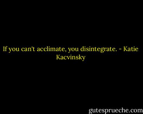 If you can't acclimate, you disintegrate. - Katie Kacvinsky