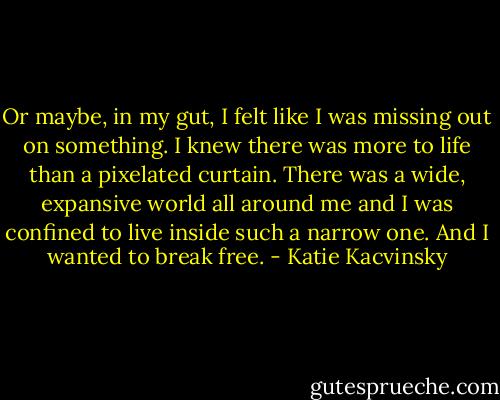 Or maybe, in my gut, I felt like I was missing out on something. I knew there was more to life than a pixelated curtain. There was a wide, expansive world all around me and I was confined to live inside such a narrow one. And I wanted to break free. - Katie Kacvinsky