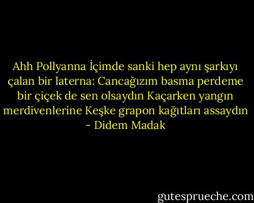 Ahh Pollyanna<br />İçimde sanki hep aynı şarkıyı çalan bir laterna:<br />Cancağızım basma perdeme bir çiçek de sen olsaydın<br />Kaçarken yangın merdivenlerine<br />Keşke grapon kağıtları assaydın - Didem Madak