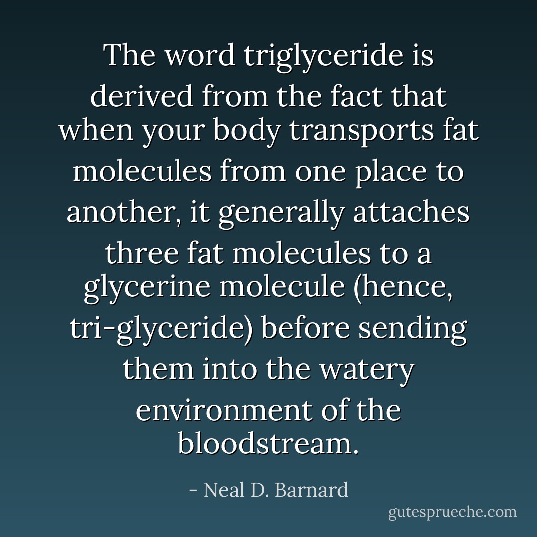 The word triglyceride is derived from the fact that when your body transports fat molecules from one place to another, it generally attaches three fat molecules to a glycerine molecule (hence, tri-glyceride) before sending them into the watery environment of the bloodstream. - Neal D. Barnard